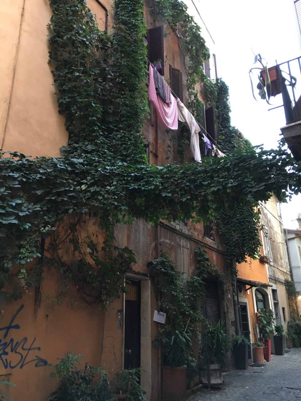 D8B82C22-C702-45D4-A20E-D94C805386A7