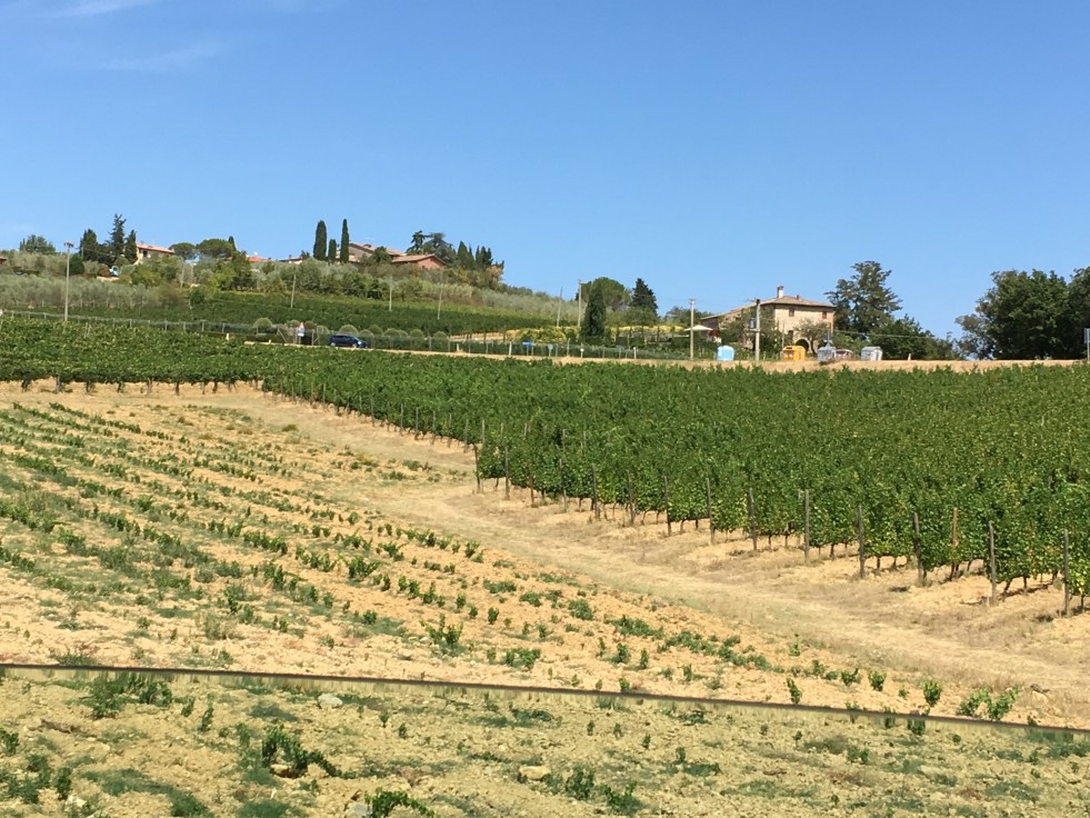 4871A512-7639-4CE6-9D5B-3D442E7D154B